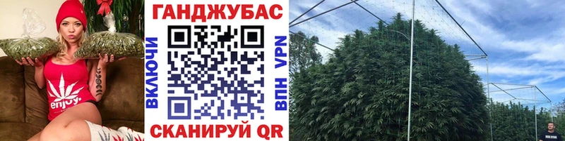 Магазины продажи наркотиков Починок Каннабис  Галлюциногенные грибы  ГАШ  NBOMe  МЕФ  APVP  Амфетамин 