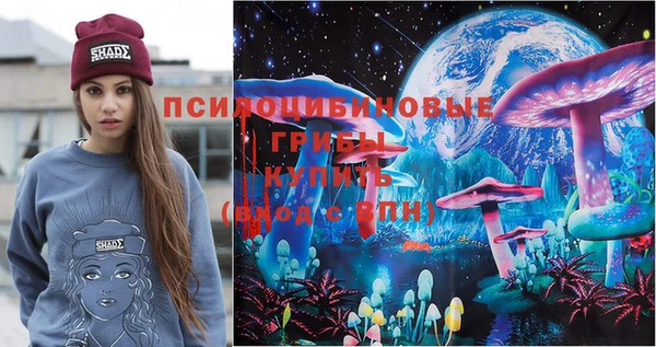ешки Алексин