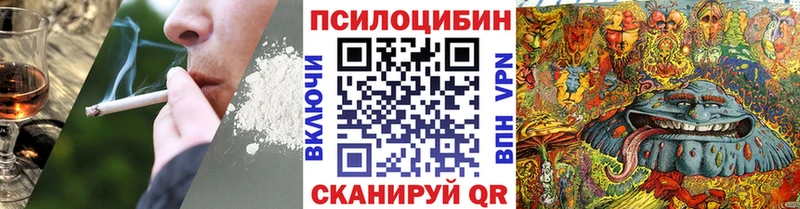как найти наркотики  Починок  Псилоцибиновые грибы мухоморы 
